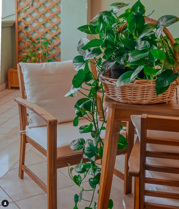 Gartenstühle-Set Chemnitz 2 Stk. mit Kissen Akazie Massivholz (In 3 Farben erhältlich)