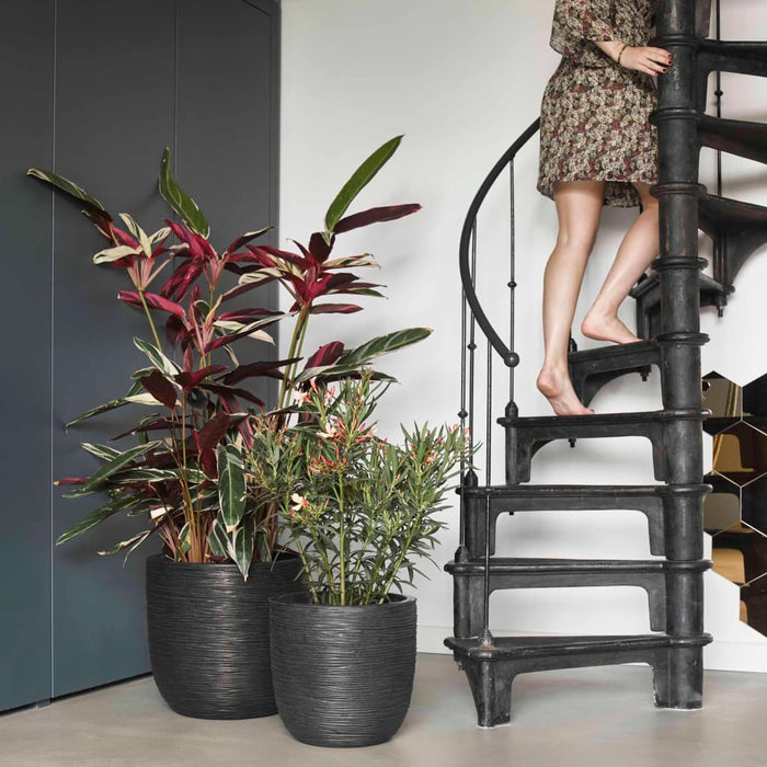 Capi Blumentopf "Nature Rib" Oval 43 x 41 cm Schwarz