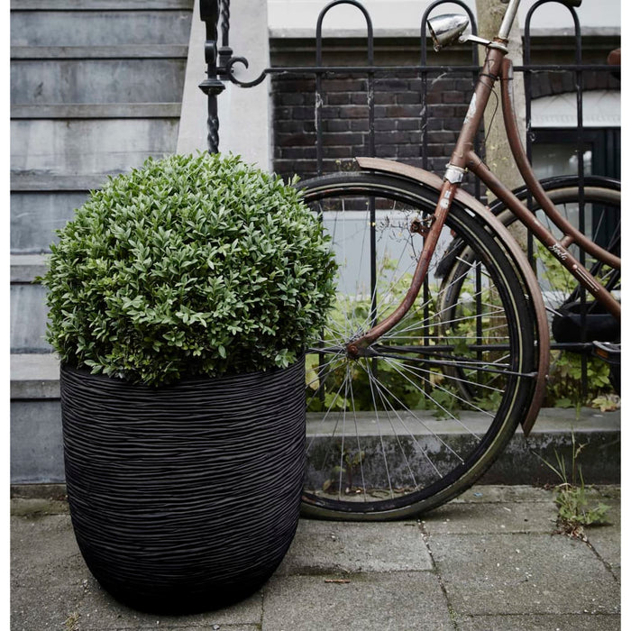 Capi Blumentopf "Nature Rib" Oval 43 x 41 cm Schwarz