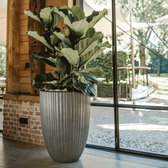 Capi Vase Urban Tube Elegant Niedrig 55x73 cm Dunkelgrau