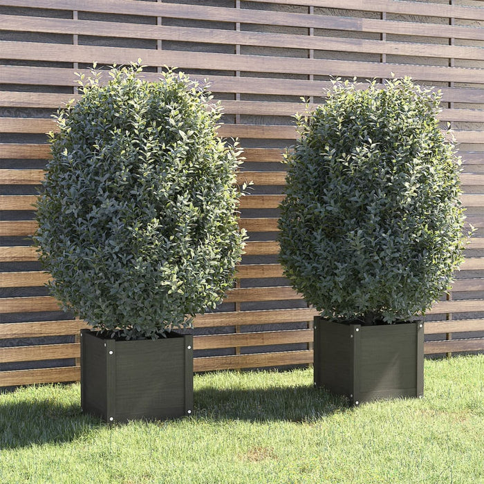 Plant pots 2 pcs. Gray 40x40x40 cm solid pine wood