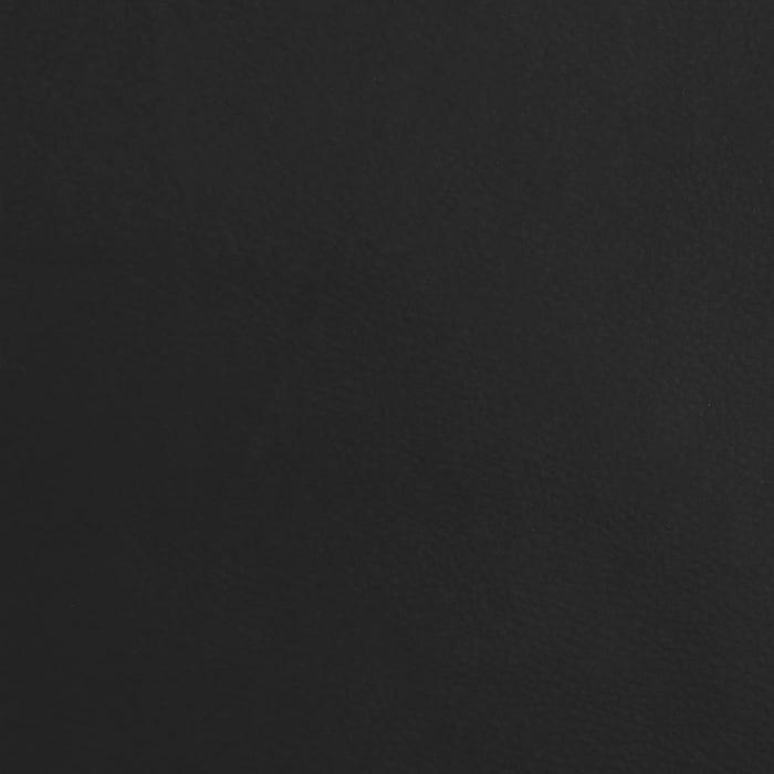 Aufstehsessel Schwarz Echtleder