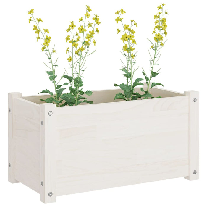 Plant pots 2 pieces white 60x31x31 cm solid pine wood