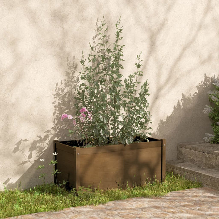 Pflanzkübel 2 Stk. Honigbraun 100x50x50 cm Massivholz Kiefer