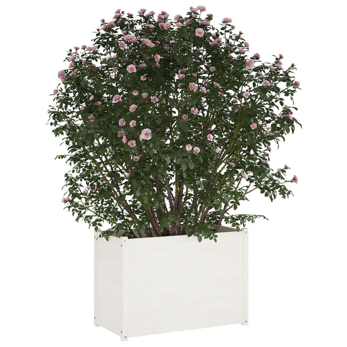 Plant pot white 100x50x70 cm solid pine wood