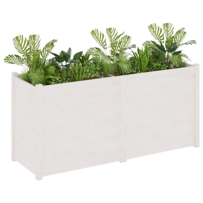 Plant pot white 150x50x70 cm solid pine wood