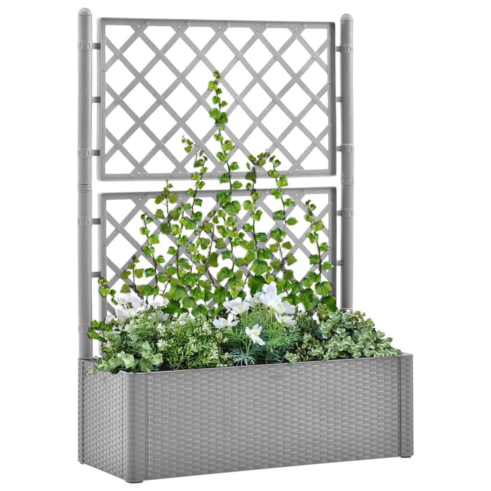 Garden raised bed with trellis and self-watering system gray