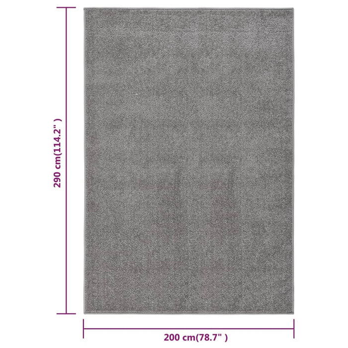 Short pile carpet 200x290 cm gray