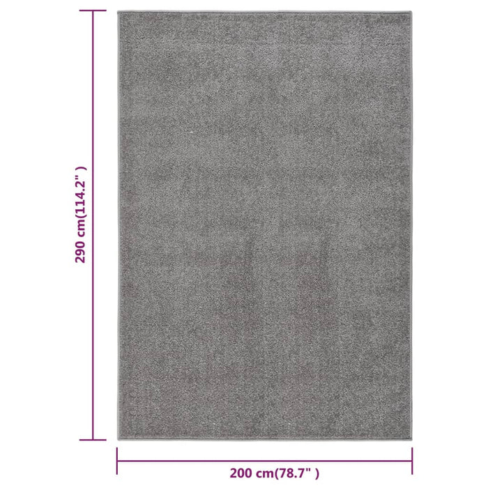 Teppich Kurzflor 200x290 cm Grau