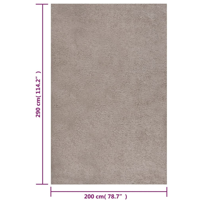 Teppich Shaggy Hochflor Beige 200x290 cm