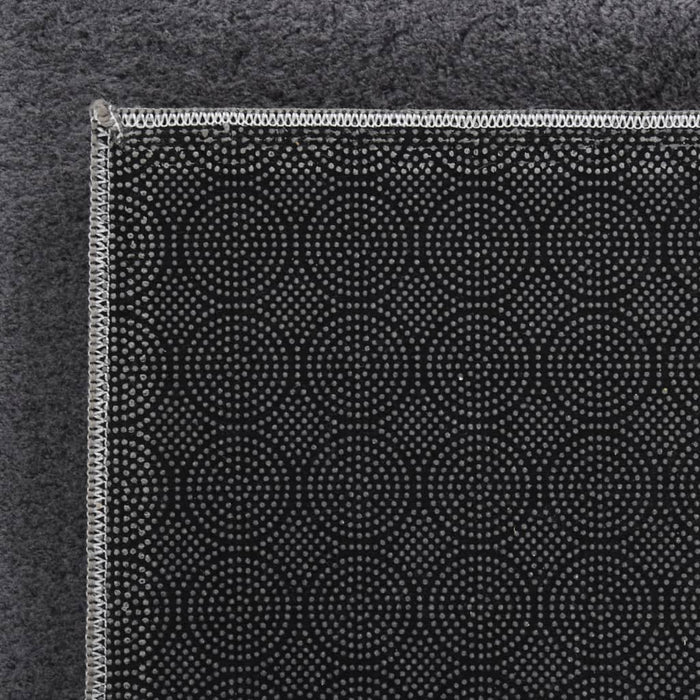 Teppich Waschbar Flauschig Kurzflor 200x290 Rutschfest Anthrazi