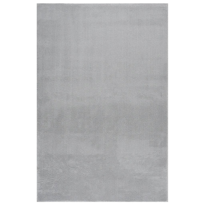 Teppich Waschbar Flauschig Kurzflor 200x290 Rutschfest Grau
