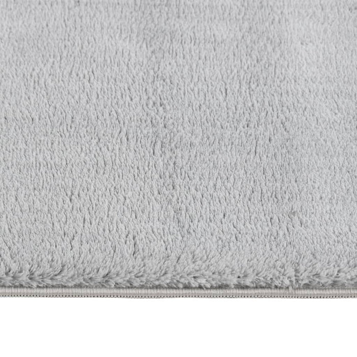 Teppich Waschbar Flauschig Kurzflor 200x290 Rutschfest Grau