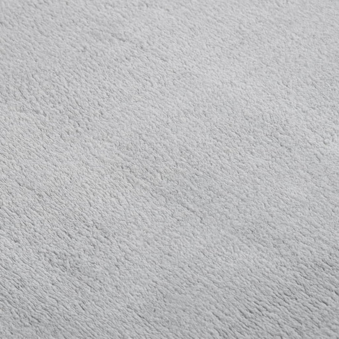 Teppich Waschbar Flauschig Kurzflor 200x290 Rutschfest Grau