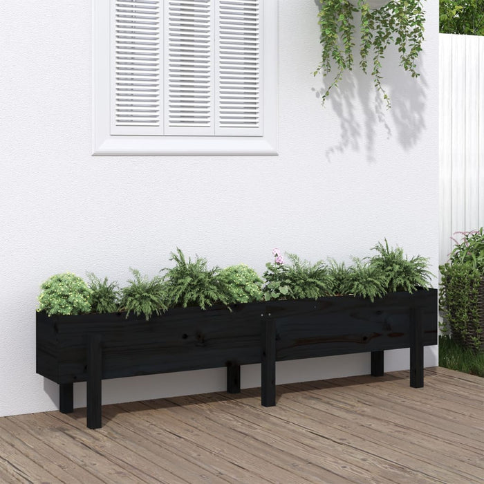 Hochbeet Schwarz 160x30x38 cm Massivholz Kiefer