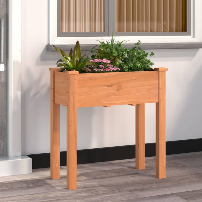 Plant pot with insert brown 71x37x76 cm solid fir wood