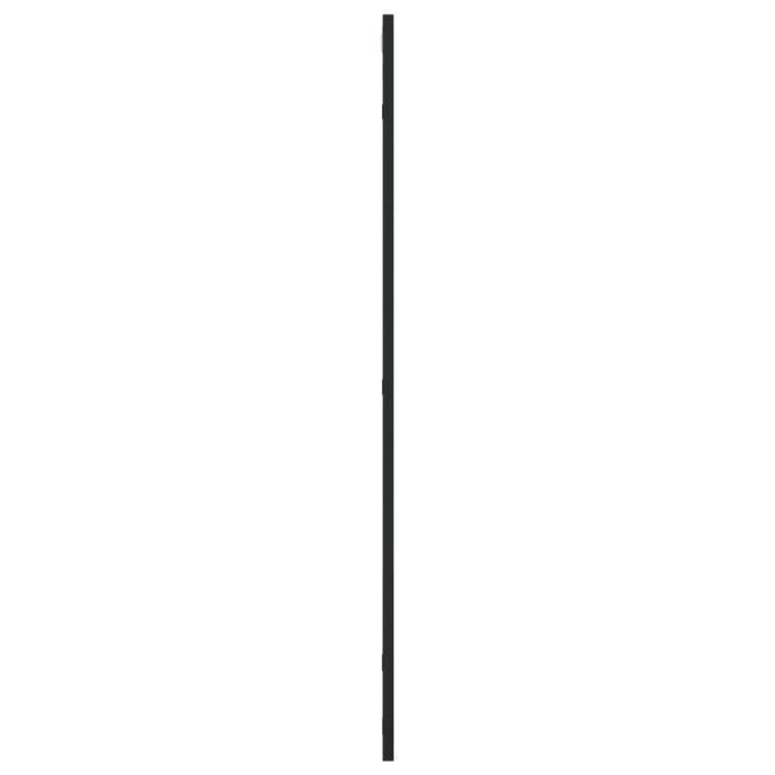 Wandspiegel Schwarz 60x100 cm Rechteckig Eisen